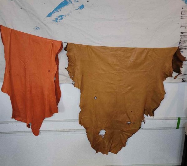 Coloured Hides - Image 8