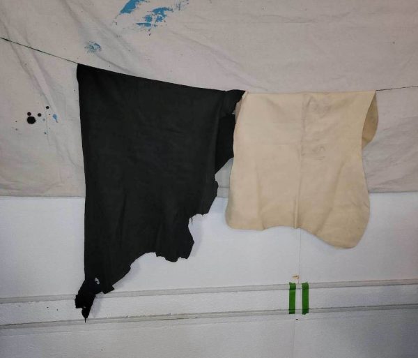 Coloured Hides - Image 6