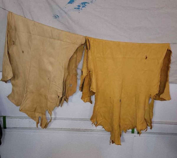 Coloured Hides - Image 5
