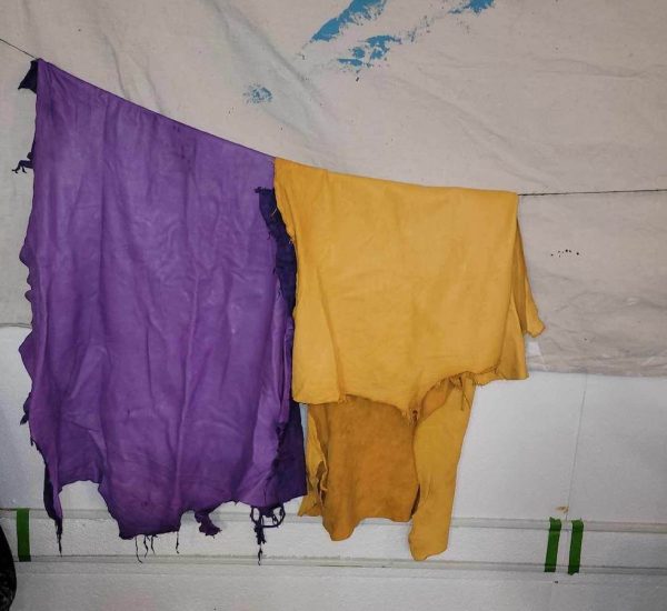 Coloured Hides - Image 4