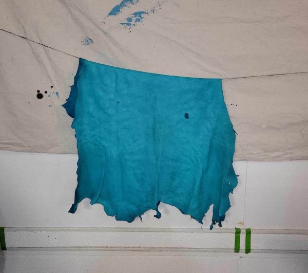 Coloured Hides - Image 2